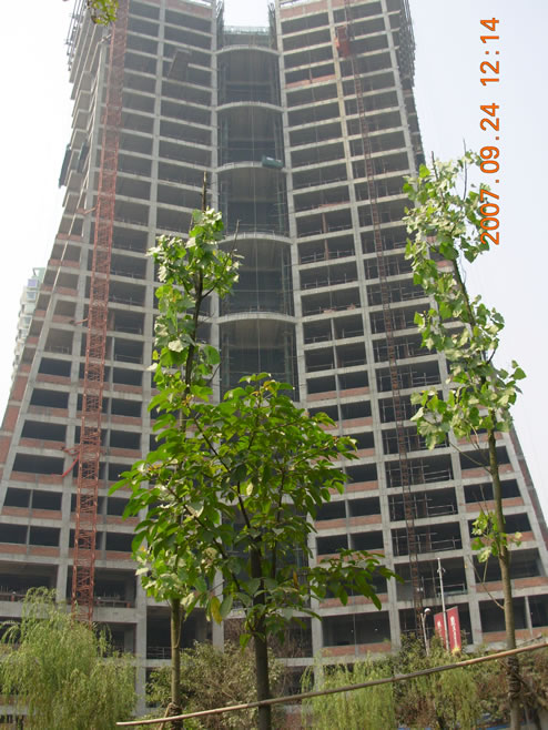 �|(zh��)�z���